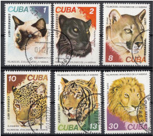 CUBA - 1977 Big Cats ; Lion ; Tiger;leopard;puma  Stamp Set Used - Félins