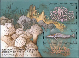 TAAF 2023. Endemic Marine Fauna Of Adele Island (MNH OG) Souvenir Sheet - Unused Stamps