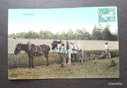 Scène Rurale : LABOUREURS - Attelage De Chevaux à La Charrue - 1910 - Attelages