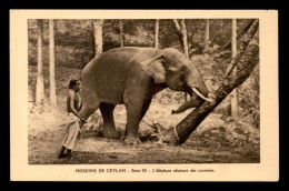 MISSIONS - CEYLAN - OBLATS DE MARIE IMMACULEE - ELEPHANT ABATTANT DES COCOTIERS - Missie