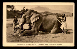 MISSIONS - CEYLAN - OBLATS DE MARIE IMMACULEE - ELEPHANT RECEVANT SON CHARGEMENT - Missioni