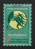 VIGNETTE - CONTRE LA TUBERCULOSE 1965-1966 - FORMAT 8 X 12 CM - Cinderellas