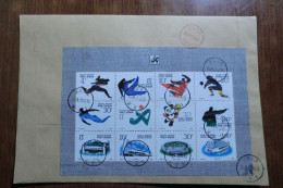 China. Souvenir  Sheet   On Registered Envelope - Briefe U. Dokumente