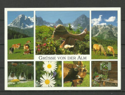 Austria Österreich Grüsse Von Der ALM, Used Werbe-Nebestempel Advertising Cachet Bad Kleinkircheheim - Brieven En Documenten