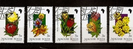 HUNGARY - 1990. African Flowers - Kaktus  Stamps Set  USED - Oblitérés