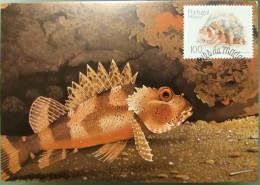 POSTAL MÁXIMO - PEIXES DA MADEIRA - Cartes-maximum (CM)