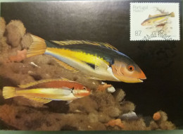 POSTAL MÁXIMO - PEIXES DA MADEIRA - Cartes-maximum (CM)