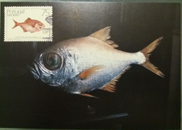 POSTAL MÁXIMO - PEIXES DA MADEIRA - Cartes-maximum (CM)