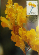 POSTAL MÁXIMO - FLORES SILVESTRES - Maximumkaarten