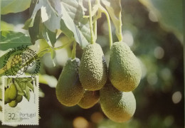 POSTAL MÁXIMO - FRUTAS E PLANTAS SUB TROPICAIS - MADEIRA - Cartes-maximum (CM)