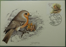 POSTAL MÁXIMO - AVES DA REGIÂO - MADEIRA - Maximum Cards & Covers