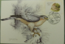 POSTAL MÁXIMO - AVES DA REGIÂO - MADEIRA - Tarjetas – Máximo