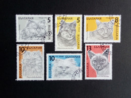 BULGARIEN MI-NR. 3808-3813 GESTEMPELT(USED) KATZEN(CATS) SIAM PERSER - Domestic Cats