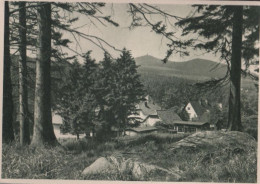 50930 - Schierke - Wurmbergblick - 1957 - Schierke