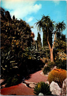 7-4-2024 (1 Z 18) Monaco (posted To France 1970's ?) Exotic Cactus Garden - Cactussen