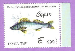 Moldova Moldavia. Transnistria.2019 Stamps Fauna "Sudak" - Moldova