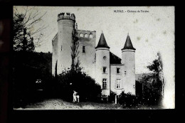7€ : Chateau De Torsiac - Blesle