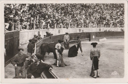 COURSES DE TAUREAUX - COUP DE GRACE AU TAUREAU DEBOUT - (OBLITERATION D'ARLES EN 1953 - (2 SCANS)   - Corridas