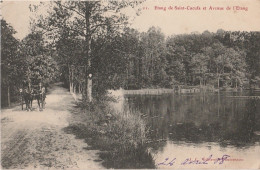 92) ETANG DE SAINT CUCUFA ET AVENUE DE L'ETANG - (EDITEUR J.C. A  VAUCRESSON - 2 SCANS) - Vaucresson