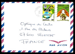 LETTRE DU SÉNÉGAL - POUR SÉLESTAT - Senegal (1960-...)