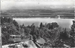 Lac De Bienne Et Seeland Depuis Le Funiculaire De Prêles - Bienne