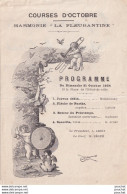 FLEURANCE - COURSES D ' OCTOBRE - HARMONIE " LA FLEURANTINE " PROGRAMME DU DIMANCHE 21 OCTOBRE 1934  - Programmes