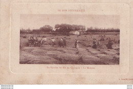 47) LE MIDI PITTORESQUE - LA RÉCOLTE DU BLÉ EN GASCOGNE - LA MOISSON - EDITEUR A. CAVAILLÉ A LAROQUE TIMBAUT - 2 SCANS - Laroque Timbault