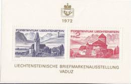 Liechtenstein Hb 12 - Blocs & Feuillets