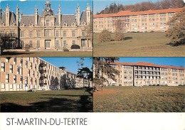 95 - Saint Martin Du Tertre - Centre Médical Femand-Bezançon - Multivues - CPM - Voir Scans Recto-Verso - Saint-Martin-du-Tertre