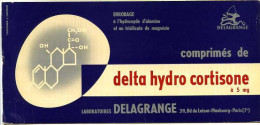 Buvard  21 X 10  Laboratoires DELAGRANGE  Delta Hydro Cortisone - Drogisterij En Apotheek
