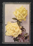Reklamemarke Zwei Hübsch Blühende Rosen In Gelb  - Cinderellas