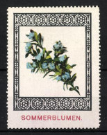 Reklamemarke Blau Blühende Sommerblume  - Erinnofilia