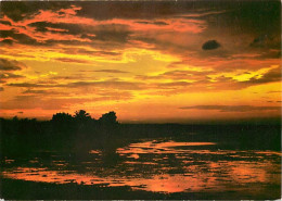 Coucher De Soleil - CPM - Voir Scans Recto-Verso - Controluce