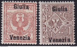 1918 Venezia Giulia, N. 19d/20d SOVRASTAMPA GIULIA VENEZIA - MNH** - Altri & Non Classificati