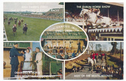 CPSM / CPM 9  X 14 Irlande (2) Irish Sweeps Derby - Dublin Horse Show - Irish Sweep Drum - Meet Of The Meath Hounds * - Kerry