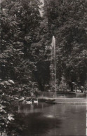 41987 - Offenburg - Schwanenteich In Zwinger-Anlagen - 1961 - Offenburg