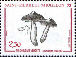 SPM Poste N** Yv: 497 Mi:569 Tricholome Vergeté-Tricholoma Vergatum - Ongebruikt