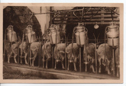 Carte Postale Ancienne Roquefort - Traite Mécanique Des Brebis - Agriculture - Roquefort