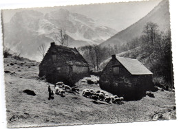 CPSM    LES PYRENEES      -     PATURAGES ET CABANES DE BERGERS       ELEVAGE DE MOUTONS BREBIS - Viehzucht