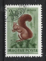 Hungary 1953 Fauna Y.T.  A136 (0) - Oblitérés