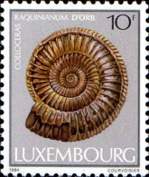 Luxembourg Poste N** Yv:1059 Mi:1109 Coeloceras Raquinianum D'orb. - Nuovi