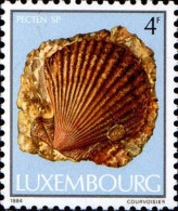 Luxembourg Poste N** Yv:1057 Mi:1107 Pecten Sp. - Unused Stamps