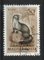 Hungary 1953 Fauna Y.T.  A139 (0) - Usati