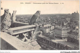 AJAP9-GARGOUILLE-0802 - PARIS - Panorama Pris De Notre-dame  - Autres & Non Classés
