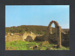 NISMES - RUINES DE LA VIEILLE EGLISE    (8777) - Viroinval