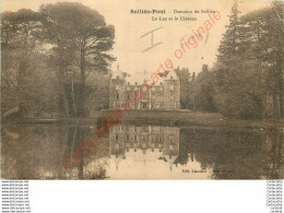 83.  SOLLIES PONT .  Domaine De Solliès . Le Lac Et Le Château . - Sollies Pont