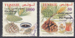 Conifers - 2016 - Tunisia (1956-...)