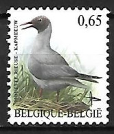 Belgium - MNH ** BUZIN - 2004:  Kokmeeuw -  Black-headed Gull  -  Chroicocephalus Ridibundus - Gabbiani