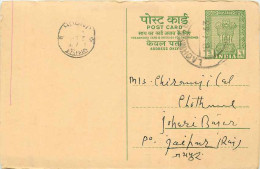 Inde India Entier Postal Stationary Tigre - Storia Postale