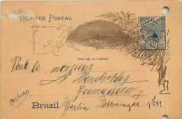 Postal Stationary Entier Postal Bresil Brazil - Covers & Documents